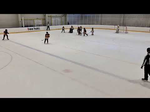 u12 piros Szekszárdi Jégmadarak   KASI USE