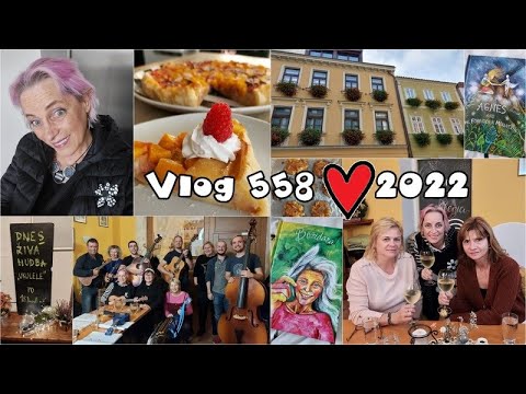 Vlog 558/22 - koláč, knížky a Kulíci