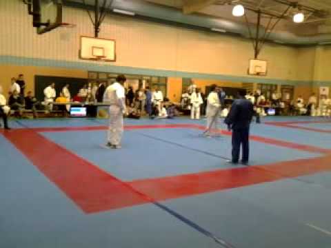 shufu promotional 2011