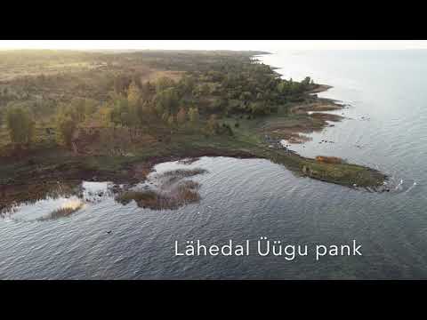 Kaunid kinnistud Muhu Põhjarannikul - Kinnisvaravideo