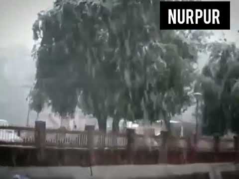 Snowfall # 🌧️🌧️🌧️🌺🌺🌻🌻🌻🌻 Himachali Kangra Vloger Nirasha Guleria