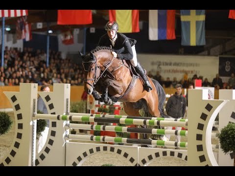 Ogano *2012 by Ogano Sitte - Diarado (Sosath Stallion Show 2019)