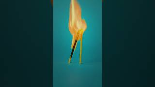 Choose one person, in one city, for a lifetime