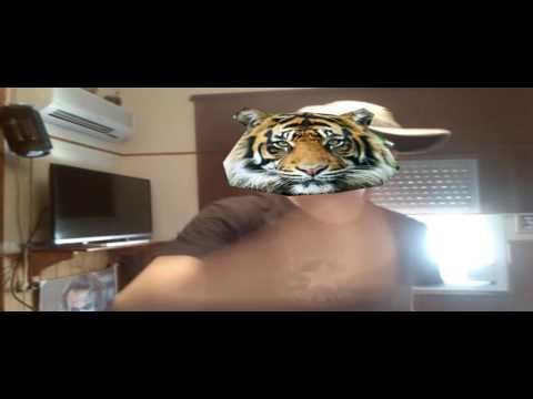 BlackPinga111 -  Harillou