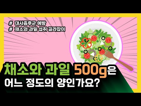 [대사증후군 영양관리] 채소와 과일 500g은 어느 정도의 양인가요?