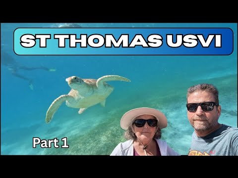 What to do in St Thomas, Part 1 | Fastcat Snorkel Excursion with Turtles!   Grand Princess cruise