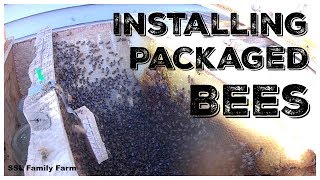 Installing a Package of Bees in a Top Bar Hive