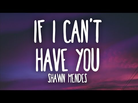 Shawn Mendes - If I Can&#39;t Have You (Lyrics)