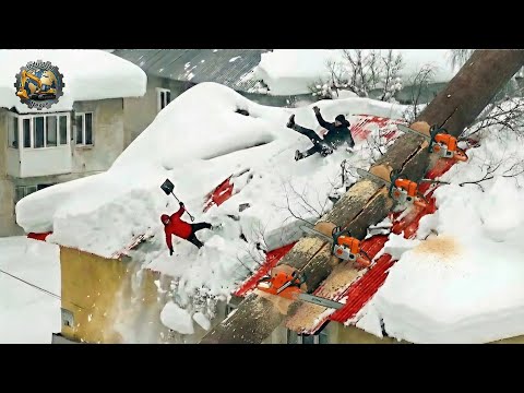 Idiots With Chainsaws: Tree Cutting Fails | Extreme Dangerous Logging Truck Fails #30