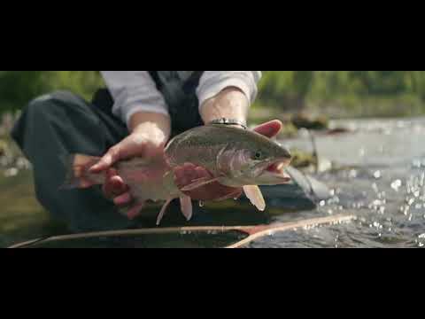 Fliegenfischen an der Alz von Erich Brinkhoff