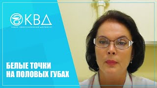 Ссылка