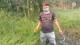 ស្អាតអើយស្រីស្អាត / ណូយវាន់ណេត
