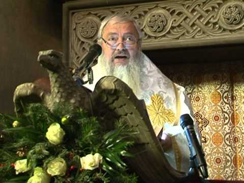 Predica IPS Andrei 6 ianuarie 2015   Botezul Domnului Hristos Boboteaza