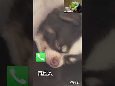 除了要一起睡的