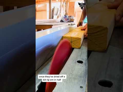 Building a wood dome without hubs 🤤 #woodworking #diy #ideas #geodesicdome