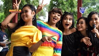 Download lagu HANING - OM ADELLA TERBARU 2020 Cumi Cumi audio live Curugsewu mp3