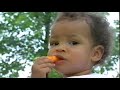 Cedarmont Kids Action Bible Songs Part 1