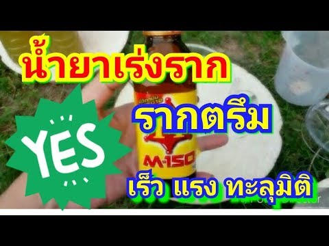 ฉันต้องการความแข็งแรงดี ความอ่อนแอความอ่อนแอชาย