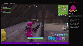 のんびりフォートナイト配信