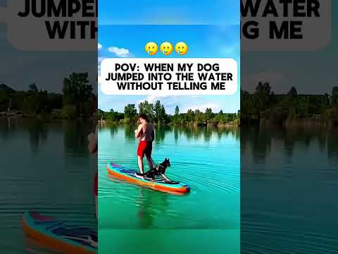 Funny animals 🤣🤣 #pet #cat #dog #cute #animlas #foryou #typ