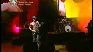 Silverchair - The Lever (with lyrics)
