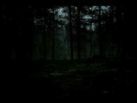 Koli-C,Klvni- Pimeenpuolen ABC