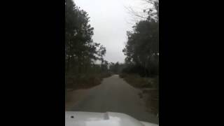 preview picture of video 'Aiken Debris Removal'