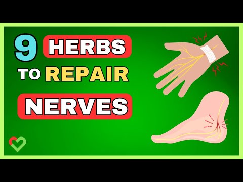 Boost Your Nerves | 9 Magical Herbs you need to know 🥺