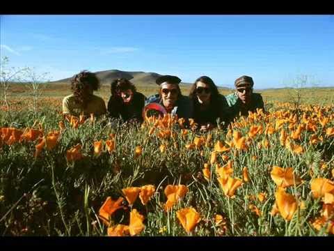 The Growlers   - Chinese Fountain