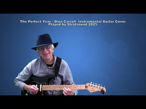 The Perfect Year - Dina Carroll