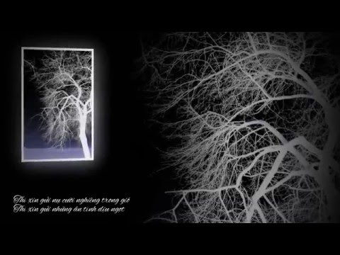 Nhỡ một ngày em đi mãi không về - Diệu Hiền