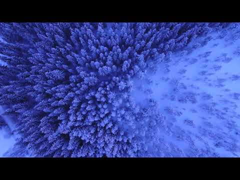 Genesi 10 - Bibbia audio in italiano