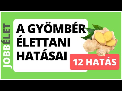 A gyömbér élettani hatásai [12 hatás]