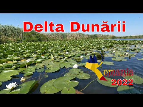 Plimbare cu barca in Delta Dunarii, Padurea Letea si iesirea in mare