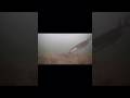 Video Thumbnail for Northern Pike #shorts #pike #fishing
