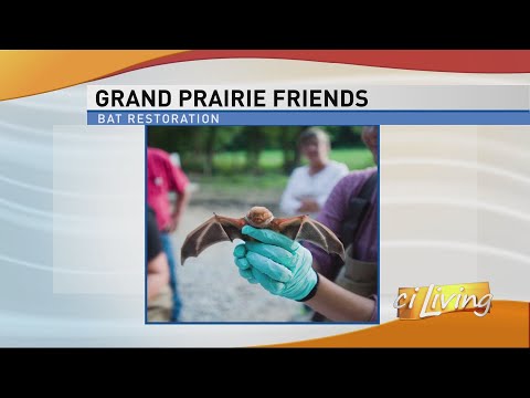 ciLiving - Grand Prairie Friends