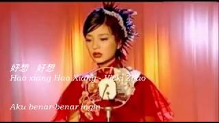 Download lagu [Indo sub] HAO XIANG HAO XIANG 好想好想 lyric with Hanyu pinyin mp3