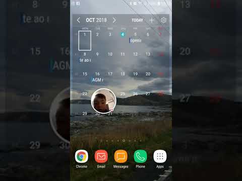 Super Phantom Cat - 2018-10-04