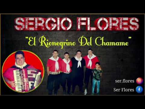 SERGIO FLORES- ATAUD CHAMAME ENGANCHADO 2021