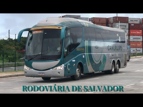 RODOVIÁRIA DE SALVADOR | Movimentação de Ônibus em Salvador-Bahia #26.