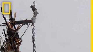 Amazing POV: Jump With the Original Bungee Jumpers