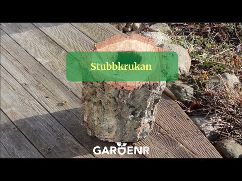 Stubbkrukan - Trädgårdshacks med GardenR
