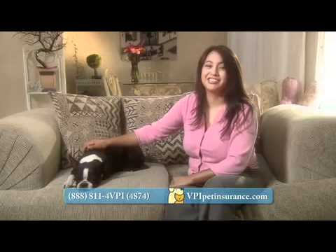 VPI Pet Insurance :60