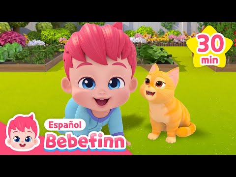 Mi Adorable Amigo, Boo🐱 | Canción de la Mascota | Bebefinn Canciones Infantiles