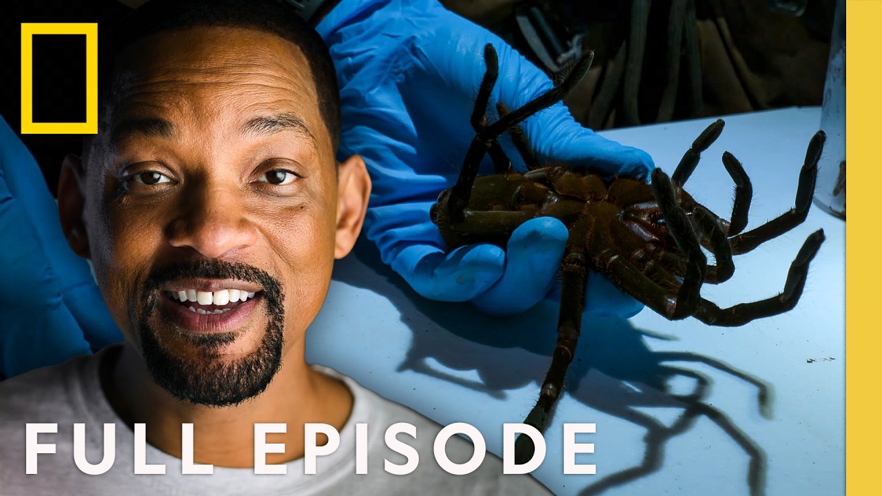 The Amazon: Deadly Creatures (Full Episode) | Pole to Pole with Will Smith | National Geographic