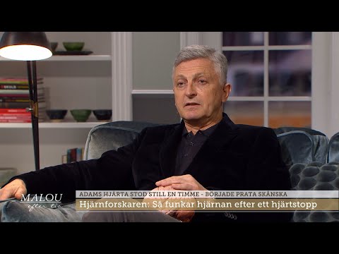 Hjärnforskaren: Så påverkas hjärnan efter ett hjärtstopp - Malou Efter tio (TV4)