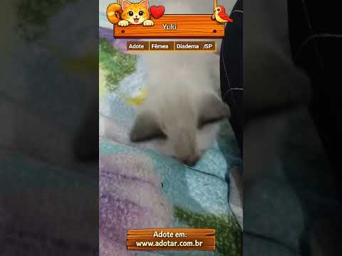 Vídeo de Yuki