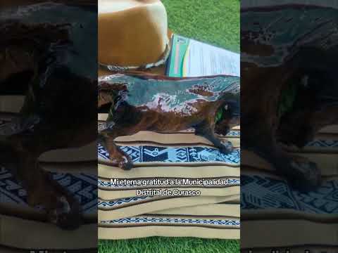 Gracias Municipalidad Distrital de Curasco, Grau, Apurimac.