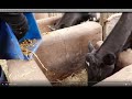 KENYA Silage Making Kiambu