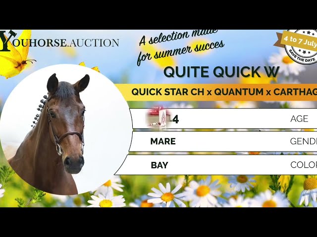 Quite Quick showvideo